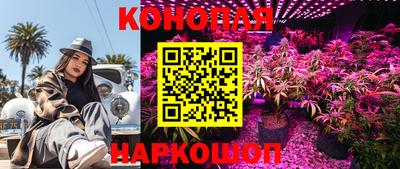Альфа ПВП Чебоксары